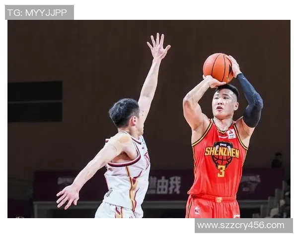 深圳排球队技术争议引发热议球迷与专家观点碰撞激烈